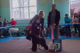 _DSC3375.jpg (83.46 КБ, Просмотров: 9540) _DSC3375.jpg