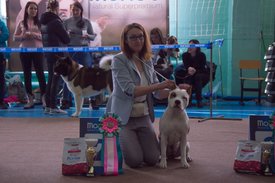 _DSC3378.jpg (82.47 КБ, Просмотров: 9542) _DSC3378.jpg