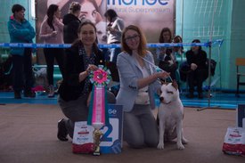 _DSC3387.jpg (80.28 КБ, Просмотров: 9537) _DSC3387.jpg