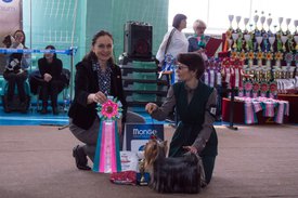 _DSC3397.jpg (92.08 КБ, Просмотров: 10320) _DSC3397.jpg