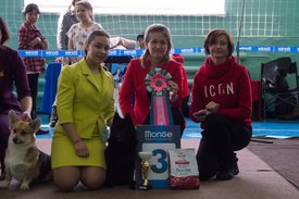 _DSC3407.jpg (89.49 КБ, Просмотров: 9575) _DSC3407.jpg