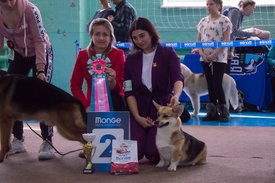 _DSC3412.jpg (90.1 КБ, Просмотров: 10320) _DSC3412.jpg