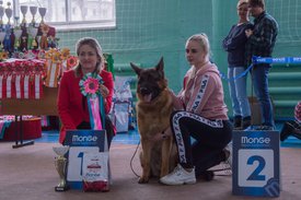 _DSC3428.jpg (91.31 КБ, Просмотров: 9542) _DSC3428.jpg