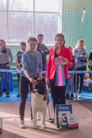 _DSC3569.jpg (89.09 КБ, Просмотров: 10320) _DSC3569.jpg