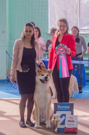 _DSC3574.jpg (81.05 КБ, Просмотров: 9543) _DSC3574.jpg