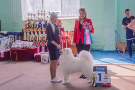 _DSC3592.jpg (86.62 КБ, Просмотров: 10491) _DSC3592.jpg