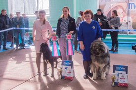 _DSC3609.jpg (94.49 КБ, Просмотров: 9540) _DSC3609.jpg