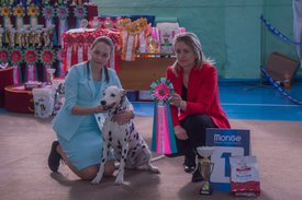 _DSC3635.jpg (85.35 КБ, Просмотров: 9535) _DSC3635.jpg