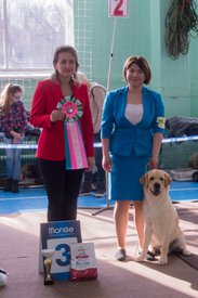 _DSC3651.jpg (81.19 КБ, Просмотров: 10318) _DSC3651.jpg