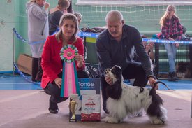 _DSC3657.jpg (88.28 КБ, Просмотров: 9540) _DSC3657.jpg