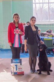 _DSC3670.jpg (78.89 КБ, Просмотров: 9556) _DSC3670.jpg