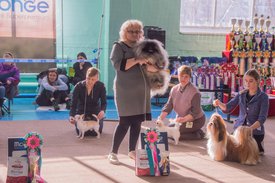 _DSC3758.jpg (98.54 КБ, Просмотров: 9535) _DSC3758.jpg