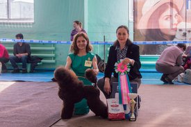 _DSC3762.jpg (85.31 КБ, Просмотров: 10318) _DSC3762.jpg