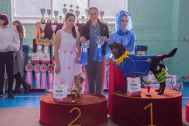 _DSC4145.jpg (90.05 КБ, Просмотров: 9532) _DSC4145.jpg