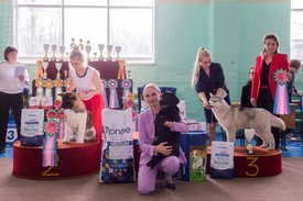 _DSC4165.jpg (89.94 КБ, Просмотров: 9532) _DSC4165.jpg