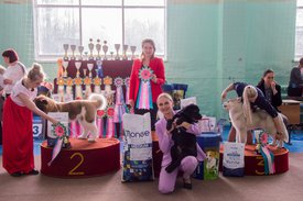 _DSC4171.jpg (92.08 КБ, Просмотров: 9538) _DSC4171.jpg