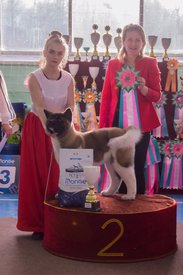 _DSC4179.jpg (80.82 КБ, Просмотров: 9570) _DSC4179.jpg