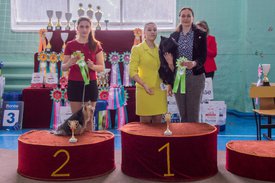 _DSC4189.jpg (89.18 КБ, Просмотров: 9553) _DSC4189.jpg