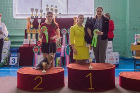 _DSC4196.jpg (85.22 КБ, Просмотров: 9531) _DSC4196.jpg