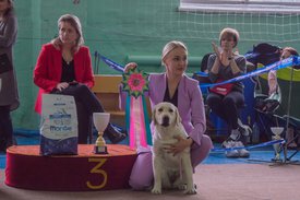 _DSC4214.jpg (83.11 КБ, Просмотров: 9568) _DSC4214.jpg