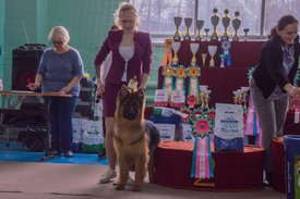 _DSC4217.jpg (85.95 КБ, Просмотров: 9553) _DSC4217.jpg