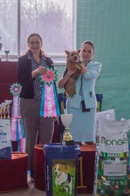 _DSC4227.jpg (81.37 КБ, Просмотров: 9531) _DSC4227.jpg