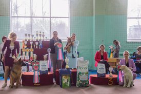 _DSC4234.jpg (87.21 КБ, Просмотров: 9538) _DSC4234.jpg