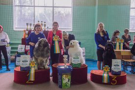 _DSC4247.jpg (88.91 КБ, Просмотров: 9531) _DSC4247.jpg