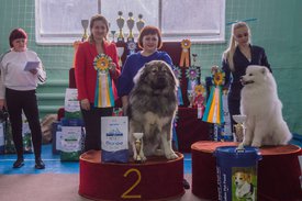 _DSC4251.jpg (86.48 КБ, Просмотров: 9553) _DSC4251.jpg