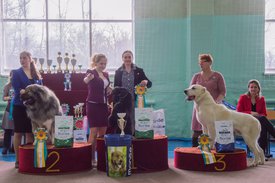 _DSC4267.jpg (86.48 КБ, Просмотров: 10486) _DSC4267.jpg