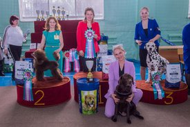 _DSC4270.jpg (96.68 КБ, Просмотров: 9532) _DSC4270.jpg