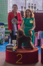 _DSC4286.jpg (82.92 КБ, Просмотров: 9535) _DSC4286.jpg