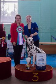 _DSC4288.jpg (76.48 КБ, Просмотров: 9535) _DSC4288.jpg