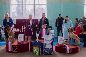 _DSC4305.jpg (95.63 КБ, Просмотров: 10871) _DSC4305.jpg