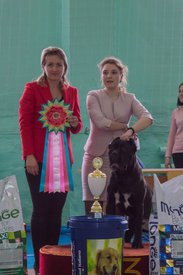 _DSC4318.jpg (75.69 КБ, Просмотров: 10484) _DSC4318.jpg