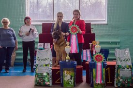 _DSC4330.jpg (90.2 КБ, Просмотров: 9529) _DSC4330.jpg