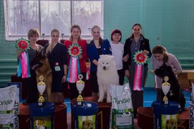 _DSC4343.jpg (89.84 КБ, Просмотров: 10484) _DSC4343.jpg