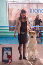 _DSC3814.jpg (81.59 КБ, Просмотров: 10475) _DSC3814.jpg