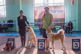 _DSC3850.jpg (81.35 КБ, Просмотров: 10304) _DSC3850.jpg