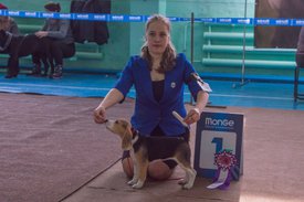 _DSC3877.jpg (74.51 КБ, Просмотров: 10475) _DSC3877.jpg