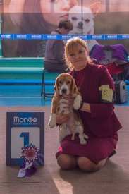 _DSC3893.jpg (74.52 КБ, Просмотров: 9543) _DSC3893.jpg