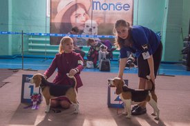 _DSC3915.jpg (81.04 КБ, Просмотров: 9521) _DSC3915.jpg