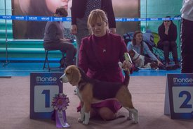 _DSC3932.jpg (76.94 КБ, Просмотров: 10475) _DSC3932.jpg