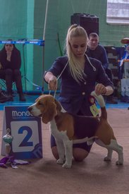 _DSC3948.jpg (71.92 КБ, Просмотров: 9542) _DSC3948.jpg