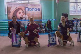 _DSC3953.jpg (86.78 КБ, Просмотров: 9526) _DSC3953.jpg