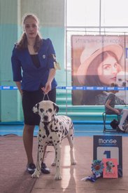 _DSC4053.jpg (72.68 КБ, Просмотров: 10304) _DSC4053.jpg