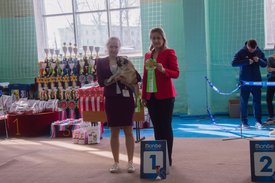 _DSC3476.jpg (87.72 КБ, Просмотров: 9526) _DSC3476.jpg