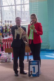 _DSC3487.jpg (78.88 КБ, Просмотров: 9520) _DSC3487.jpg