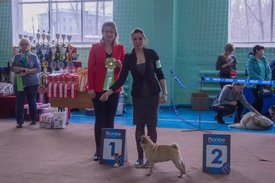 _DSC3500.jpg (86.31 КБ, Просмотров: 9541) _DSC3500.jpg