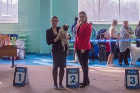 _DSC3516.jpg (88.67 КБ, Просмотров: 10876) _DSC3516.jpg